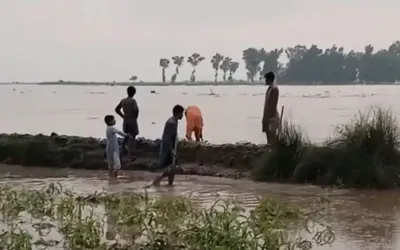 High-level flood in River Chenab; Ravi embankment blown up to save Head Sidhnai