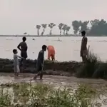 High-level flood in River Chenab; Ravi embankment blown up to save Head Sidhnai