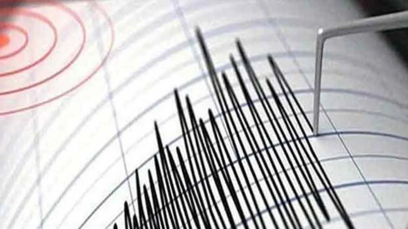 5.0 Magnitude Earthquake Jolts Layyah, Punjab: PMD