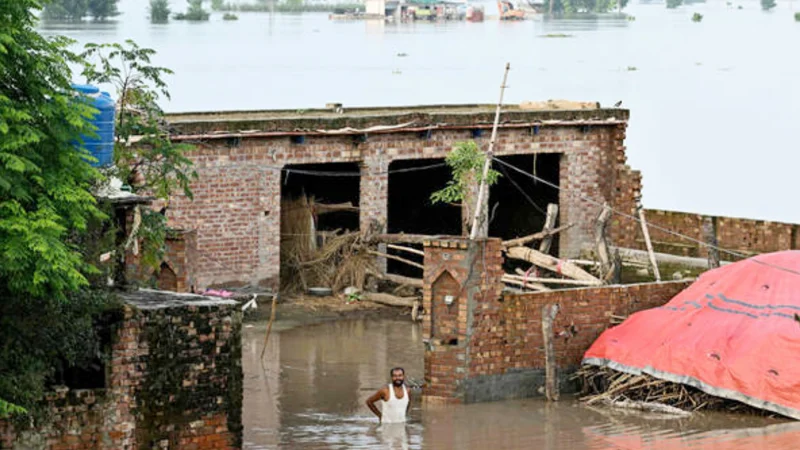Sutlej floods submerge villages, destroy crops