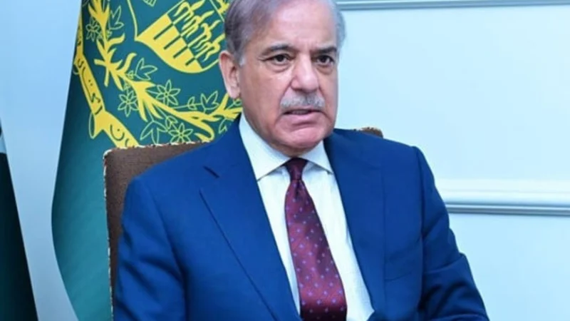 PM Shehbaz calls for business-friendly reforms, wider tax net