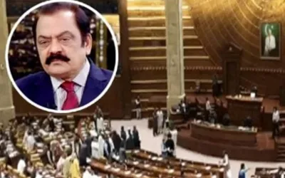 Rana Sanaullah wins Senate seat in Punjab By-Election, Unofficial results announced