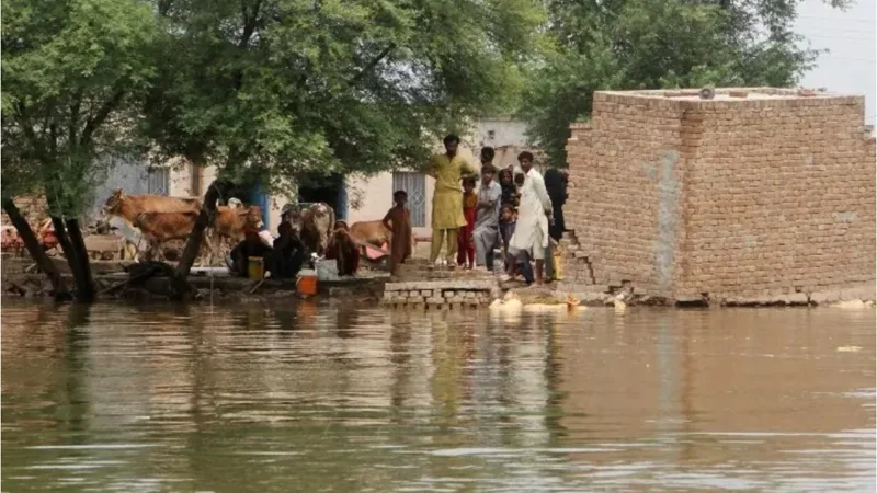 PDMA Chief terms South Punjab flood situation ‘challenging’