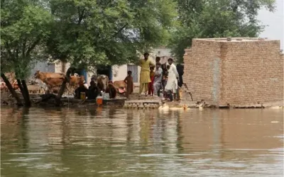 PDMA Chief terms South Punjab flood situation ‘challenging’