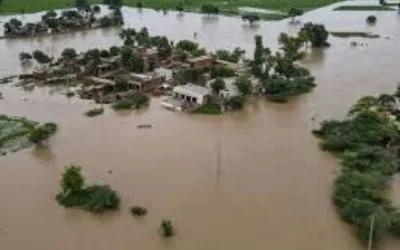 Lodhran, Bahawalpur among hardest-hit districts in Punjab floods