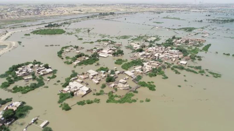 Jamshoroo