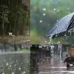PDMA Punjab issues high alert ahead of intense monsoon spell