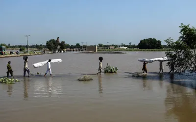 FFD issues update on dams, rivers' flood levels