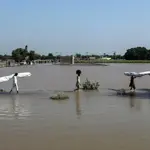 FFD issues update on dams, rivers' flood levels