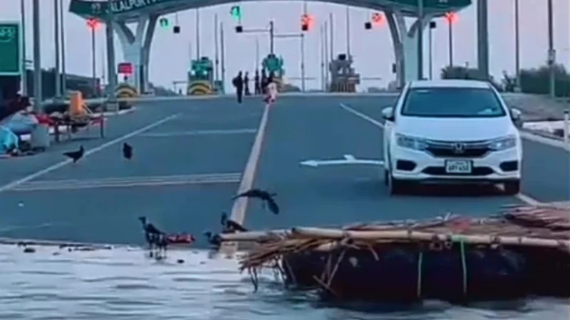 Floodwaters wash away section of motorway near Jalalpur Pirwala