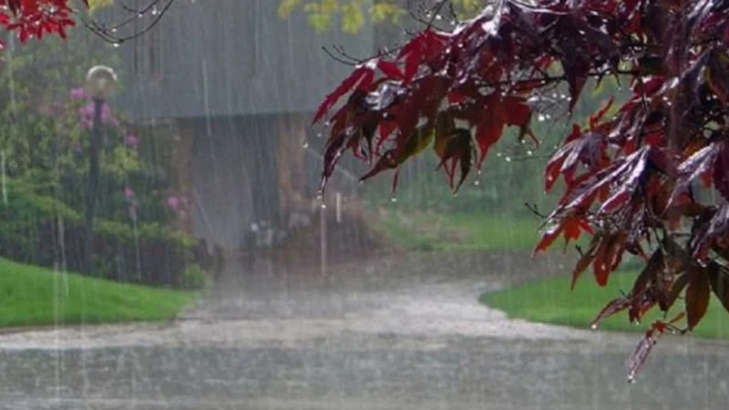 11th monsoon spell to begin in Punjab from tomorrow