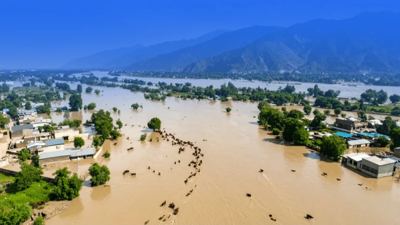 Pakistan