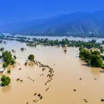 Pakistan flood 2025: High Flood Levels Continue at Guddu and Sukkur Barrages