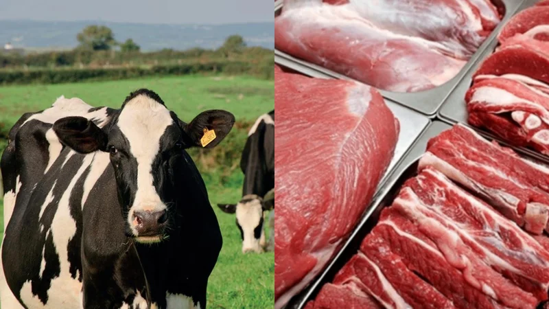 China places $7.5M Beef order from Pakistan, as Halal Meat demand rises