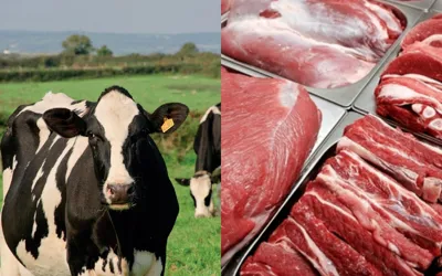 China places $7.5M Beef order from Pakistan, as Halal Meat demand rises