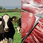 China places $7.5M Beef order from Pakistan, as Halal Meat demand rises