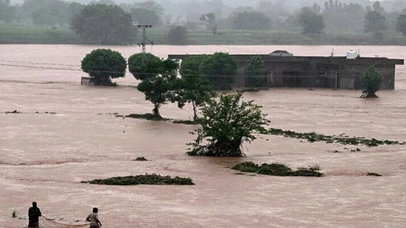 Punjab CM orders urgent restoration of infrastructure in flood-hit areas
