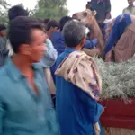 Camel brutally mutilated in Sukkur after drinking from private pond