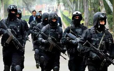 CTD Punjab arrests 89 terrorists in 940 IBOs