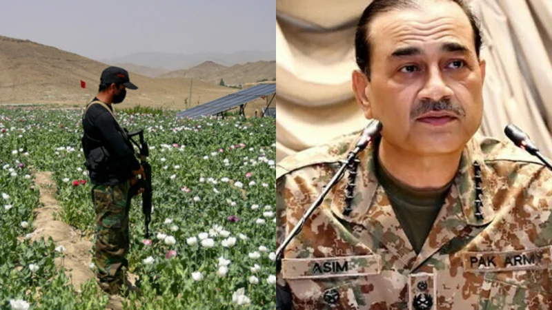 Balochistan launches anti-narcotics drive on COAS orders