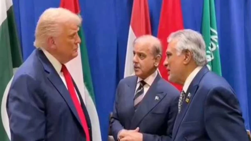 President Trump meets PM Shehbaz at conclusion of Arab-Islamic Summit