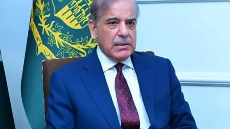 PM Shehbaz orders urgent damage assessment in flood-hit areas