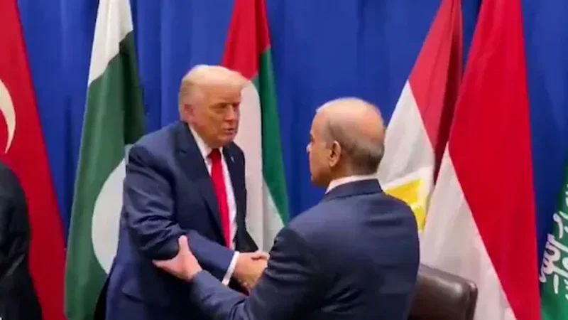 trump meet