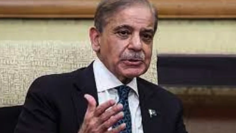 PM Shehbaz calls UN Gaza meeting a breakthrough