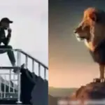 Shahid Afridi's 'Lion King' pose goes viral