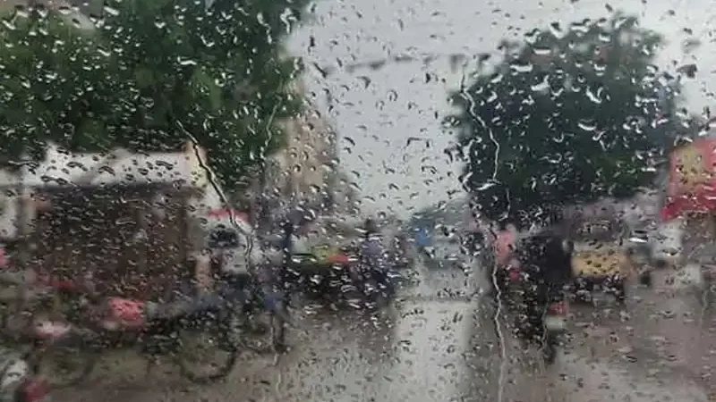 rain