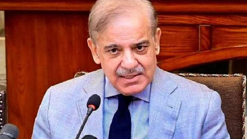 PM Shehbaz calls for urgent action in flood-affected GB areas