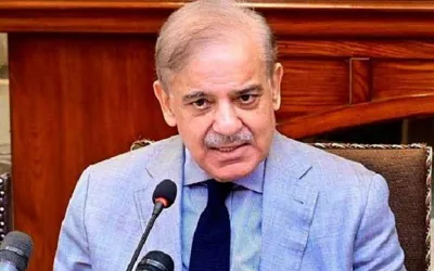 PM Shehbaz calls for urgent action in flood-affected GB areas