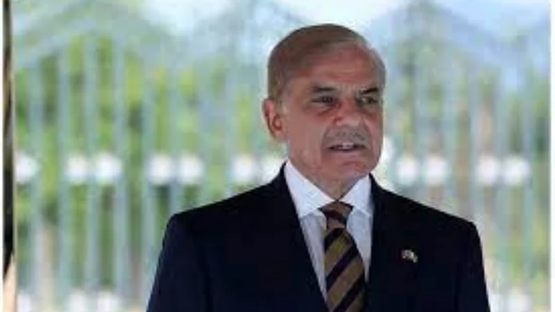 PM calls for reversing Indian unilateral actions in IIOJK