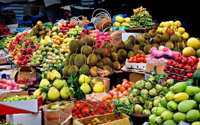 Pakistani fruit industry highlights challenges and Saudi market potential after ‘Makkah Pact’