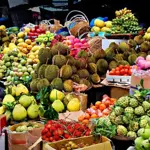Pakistani fruit industry highlights challenges and Saudi market potential after ‘Makkah Pact’