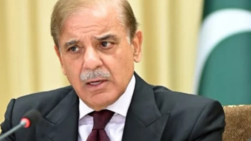 PM Shehbaz calls for comprehensive plan to boost IT exports