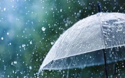 Karachi set for monsoon rains starting August 18