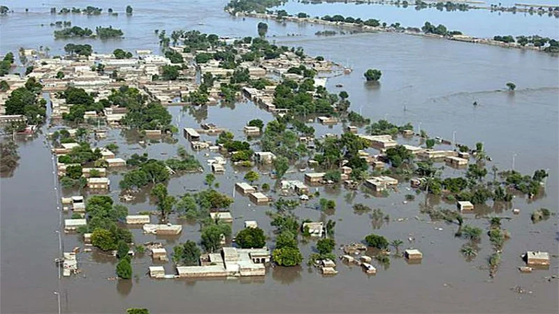 floos