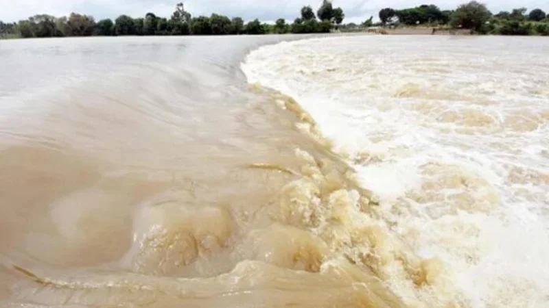 Sutlej-flood-696x398