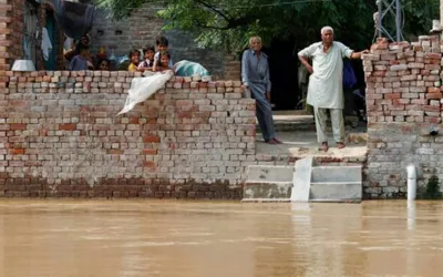 NDMA confirms 800 deaths from monsoon rains, floods