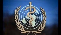 WHO says asymptomatic spread of coronavirus is very rare