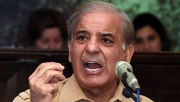 Kashmiris and Pakistan have the same destination, Shehbaz Sharif