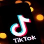 TikTok approaches PTA for negotiation
