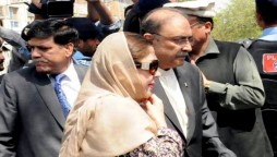 Zardari