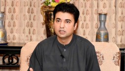 PML-N's Agenda Is To Target Defense Institutions, Judiciary: Murad Saeed