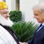 Shehbaz Sharif, Maulana Fazl agree on a joint action plan against PTI