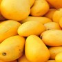 Pakistan exports first mango consignment to Moscow