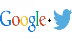 US election 2020 voting