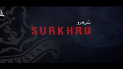 Tribute to fighters: Pak Navy releases promo of documentary film 'Surkhro'