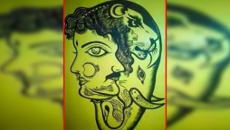 Can you find a rabbit in this picture?